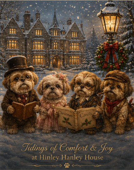 Weekly Update - For new weekly stories and canine caperings at Hinley Hanley House.